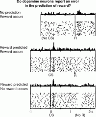 A Neural Substrate of Prediction and Reward